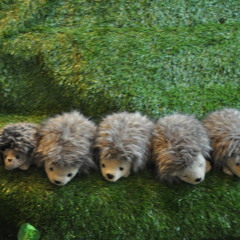 Twins-莫斯科没有眼泪 Short Cover