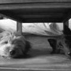 José Antonio Ortuño Núñez