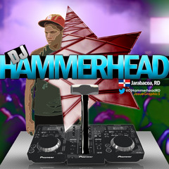 Hammerhead Official