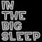 inthebigsleep