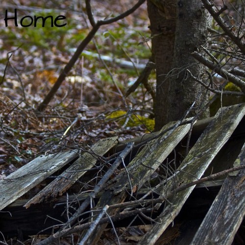 Who We Are- Back Home