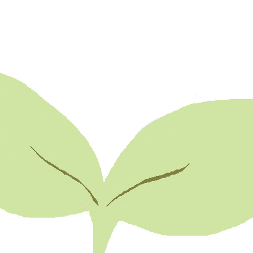 Let It Go 1절 친다 꾸꾸까까