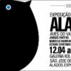 Vinicius Ribeiro Pontello