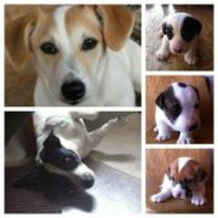 Johanna Maria Schütz