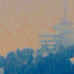 shasta