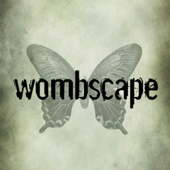 wombscape