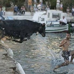 Clinton Verity -aka - VEZ