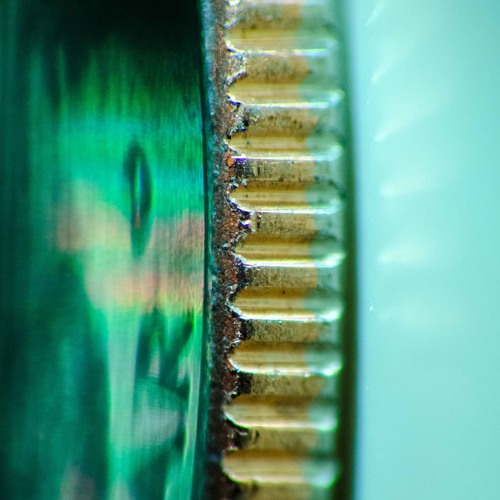 Dandelion - skate expectations