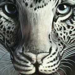 Tumbleweed And Darkreine - Waiting For The Sun