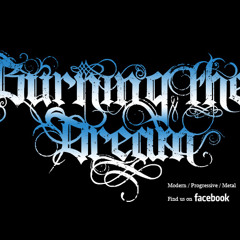 Burningthedream