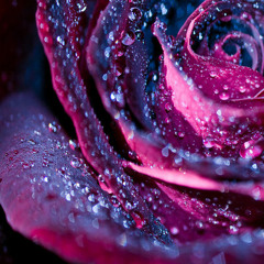 ScarletGlitter