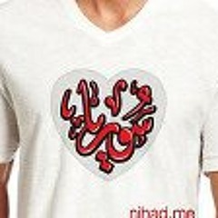 Ahmed Net