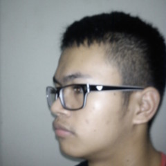 Halyontoe Haeysdro SD