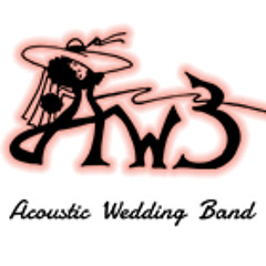Acoustic Wedding Band