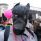 DJ Woof.