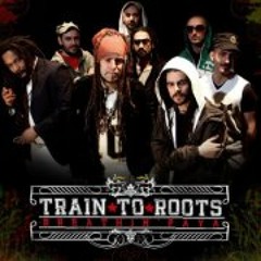 Train To Roots