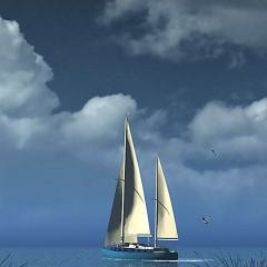 wozzi223