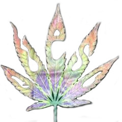 cheesemuthafuckindane