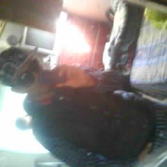 MiguelCk Evolucion Rapera