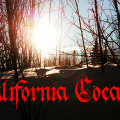 Seether Ft. Amy Lee - Broken