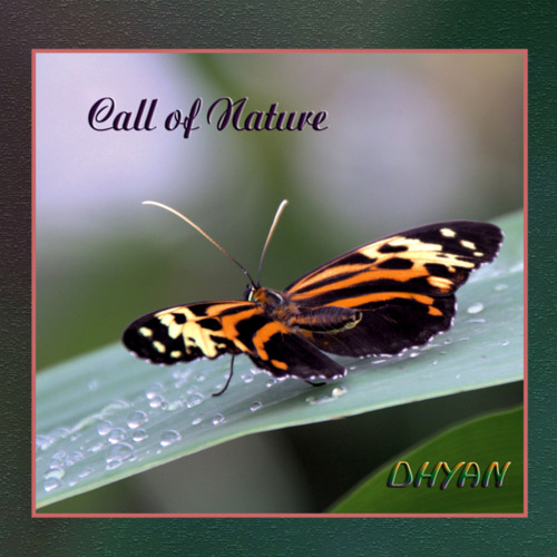 Call of Nature’s avatar