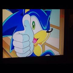 sonicthehedgehogfan123