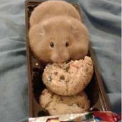 Irish Carla U. Della