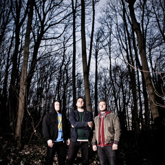 burgundy- the triangle