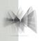 ilex_