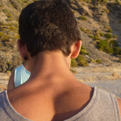 ppip