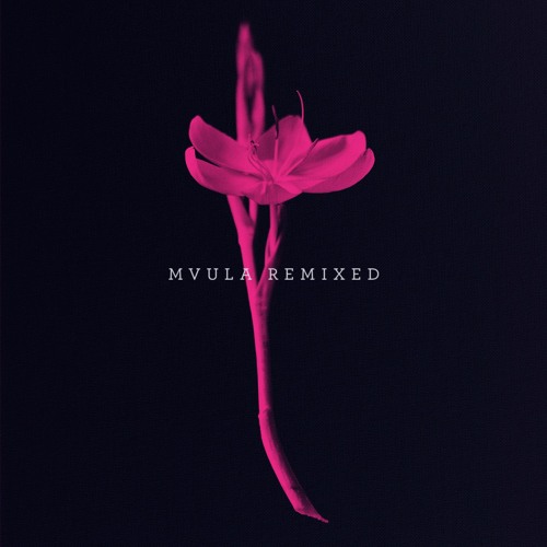 Mvula Remixed’s avatar