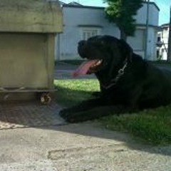 Fede Nahuel Azurmendi