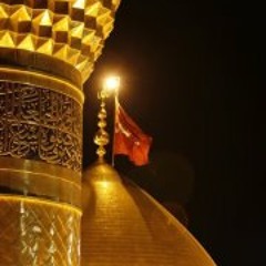 السيد حسن نصرالله عن فضل الشهداء