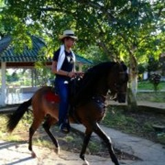 Jose Alejandro Diaz Vides