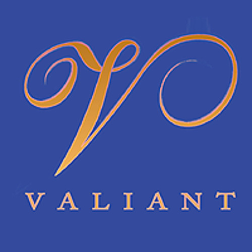 SoundCloud profile picture for @valiant