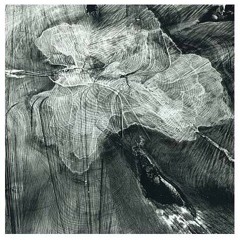 Nicholas Victor Stott