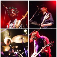 StrangeBirdsOfaFeather