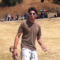 Raff Delfin
