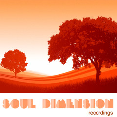 Souldimension Recordings