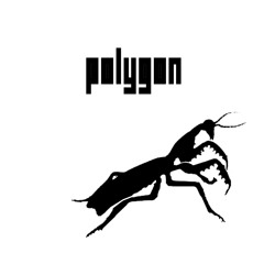 p0lygon