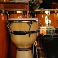 Seva DrumHuru