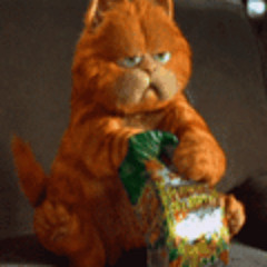 AmollohKonyagi McOwak