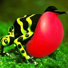 Diego Cisneros-Heredia