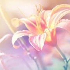 Colleen Crews-Weatherly