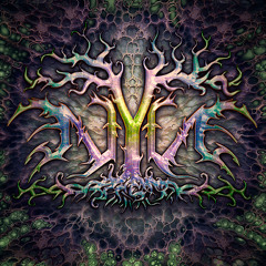 NYN9