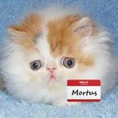 MortusX