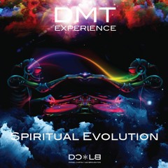 DMT EXPERIENCE