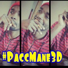 Pacc Mane