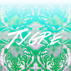 TYGRÉ