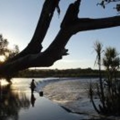 Bobby Yayah Minniecon